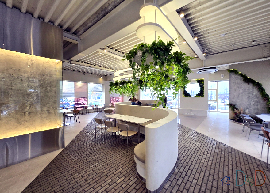 Salad Box